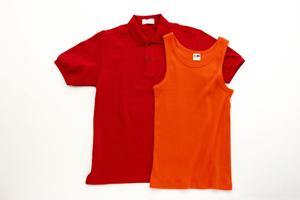 卒業式や成人式におすすめの振袖